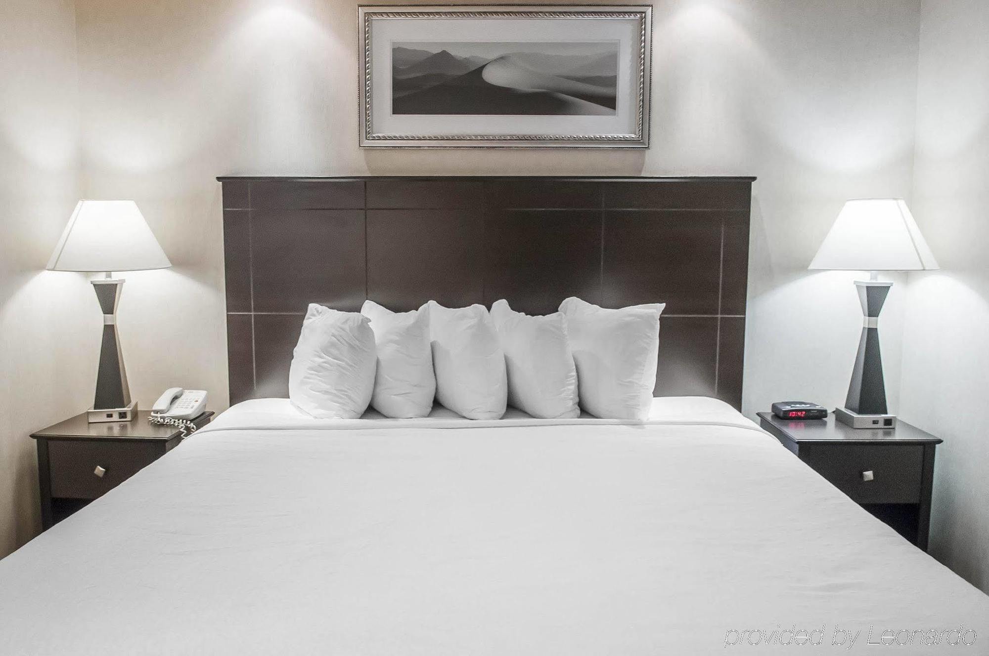 Econo Lodge Inn & Suites Downtown Toronto Exteriér fotografie